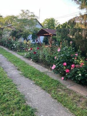 Fahaz Motel Обадсоловк Екстер'єр фото